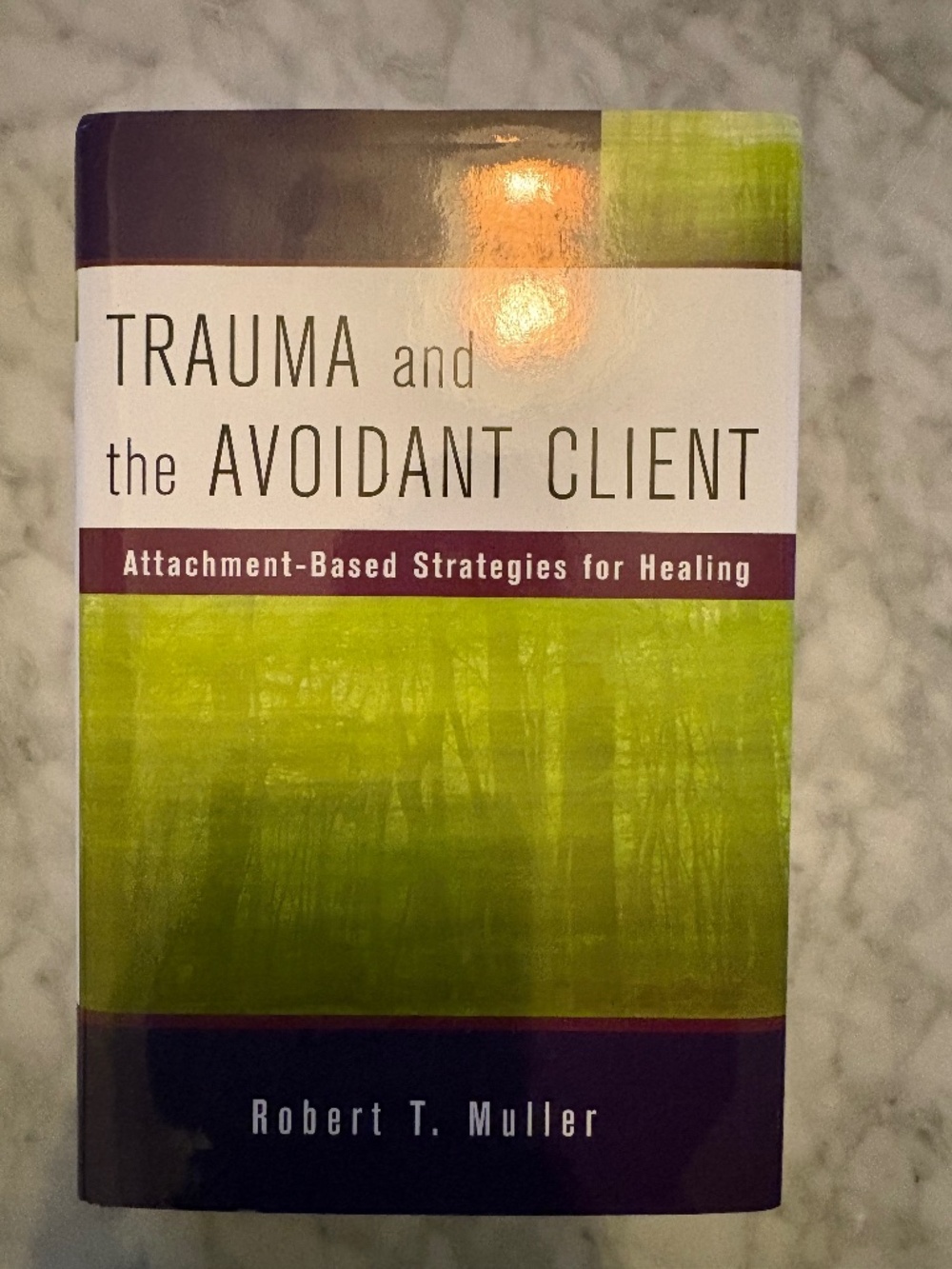 Trauma and the Avoidant Client – Robert T. Muller | Attachment-Based Therapy
